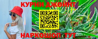 индика Абакан