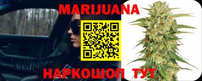 индика Абакан