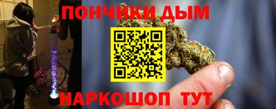 индика Абакан