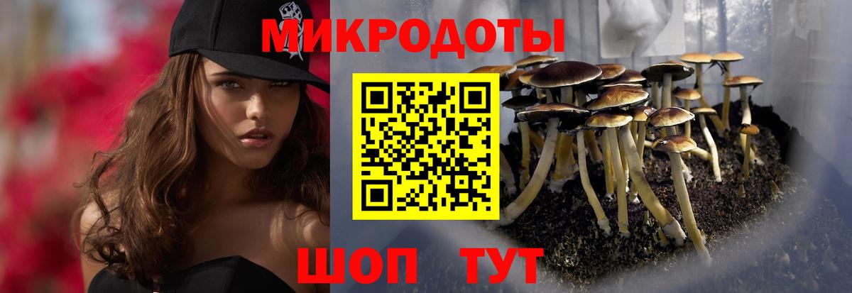 Псилоцибиновые грибы Psilocybine cubensis  Вход с VPN  Анапа 