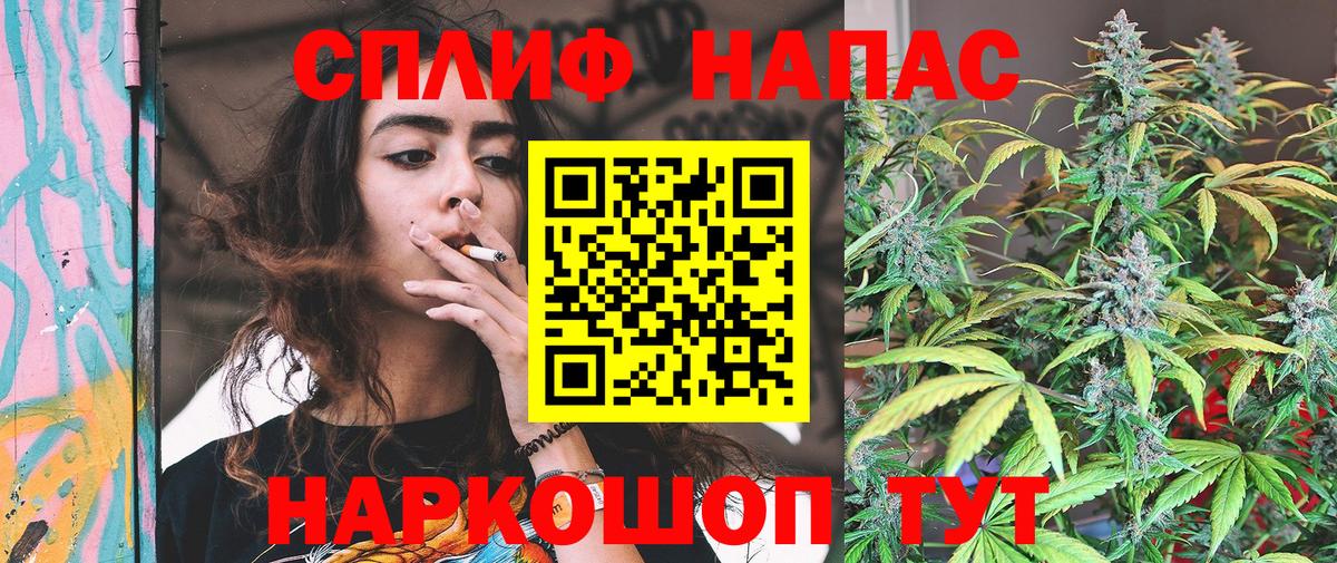 Каннабис MAZAR  Вход с VPN  Анапа  Конопля план  МАРИХУАНА SATIVA & INDICA 